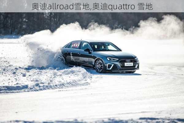 奥迪allroad雪地,奥迪quattro 雪地