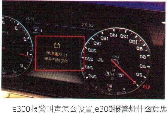 e300报警叫声怎么设置,e300报警灯什么意思