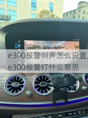 e300报警叫声怎么设置,e300报警灯什么意思