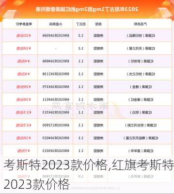 考斯特2023款价格,红旗考斯特2023款价格