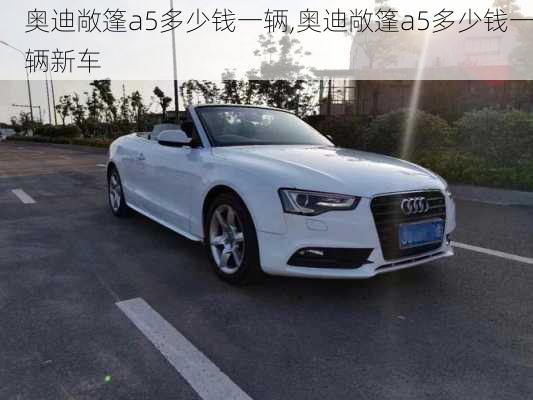 奥迪敞篷a5多少钱一辆,奥迪敞篷a5多少钱一辆新车