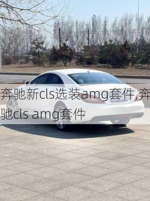 奔驰新cls选装amg套件,奔驰cls amg套件