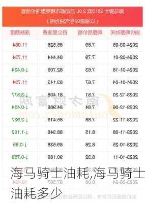 海马骑士油耗,海马骑士油耗多少