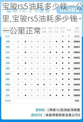 宝骏rs5油耗多少钱一公里,宝骏rs5油耗多少钱一公里正常