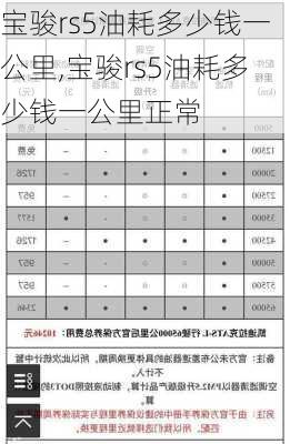 宝骏rs5油耗多少钱一公里,宝骏rs5油耗多少钱一公里正常