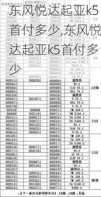 东风悦达起亚k5首付多少,东风悦达起亚k5首付多少