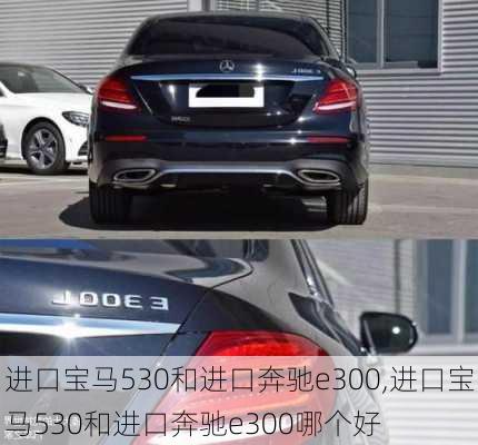 进口宝马530和进口奔驰e300,进口宝马530和进口奔驰e300哪个好