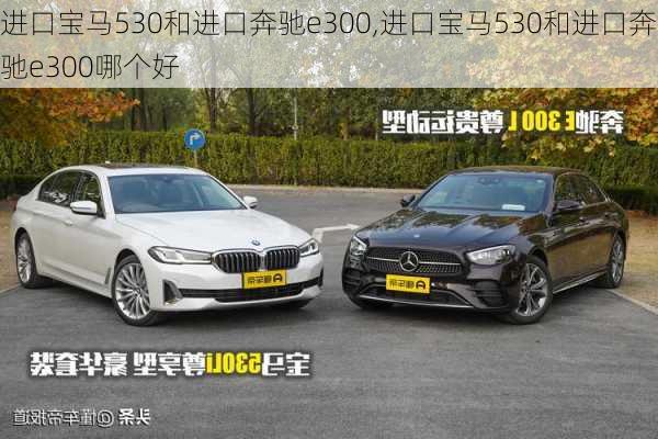 进口宝马530和进口奔驰e300,进口宝马530和进口奔驰e300哪个好