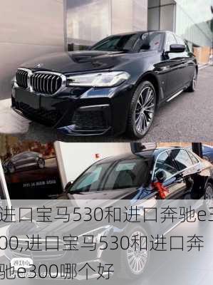 进口宝马530和进口奔驰e300,进口宝马530和进口奔驰e300哪个好