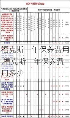 福克斯一年保养费用,福克斯一年保养费用多少