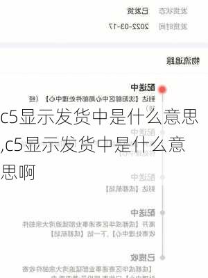 c5显示发货中是什么意思,c5显示发货中是什么意思啊