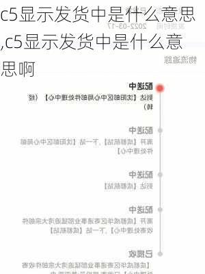 c5显示发货中是什么意思,c5显示发货中是什么意思啊