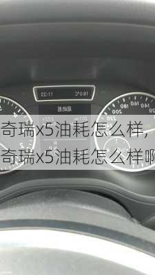 奇瑞x5油耗怎么样,奇瑞x5油耗怎么样啊