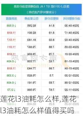 莲花l3油耗怎么样,莲花l3油耗怎么样值得买吗