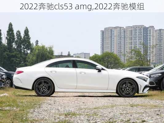 2022奔驰cls53 amg,2022奔驰模组