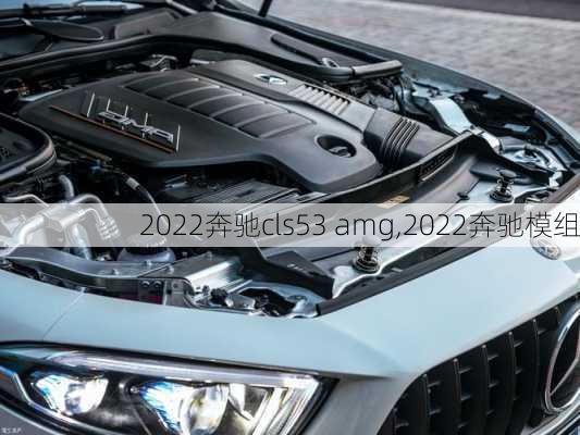 2022奔驰cls53 amg,2022奔驰模组