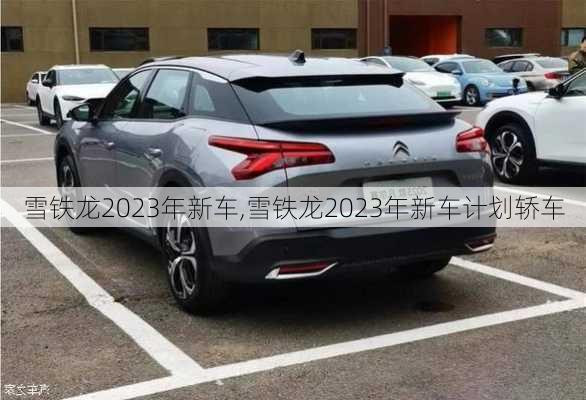 雪铁龙2023年新车,雪铁龙2023年新车计划轿车