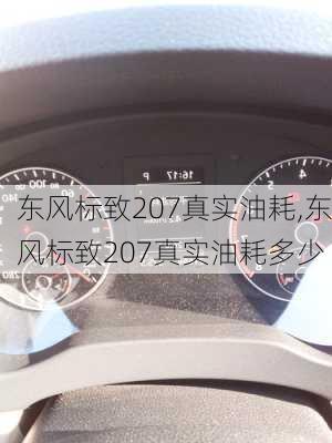 东风标致207真实油耗,东风标致207真实油耗多少