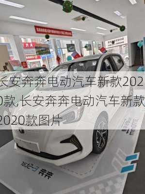 长安奔奔电动汽车新款2020款,长安奔奔电动汽车新款2020款图片