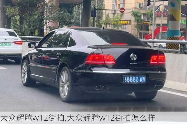 大众辉腾w12街拍,大众辉腾w12街拍怎么样