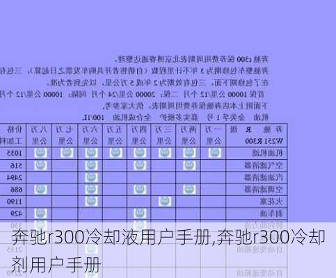 奔驰r300冷却液用户手册,奔驰r300冷却剂用户手册