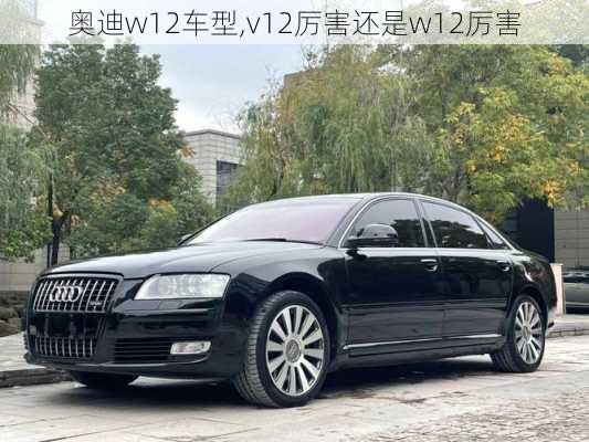 奥迪w12车型,v12厉害还是w12厉害