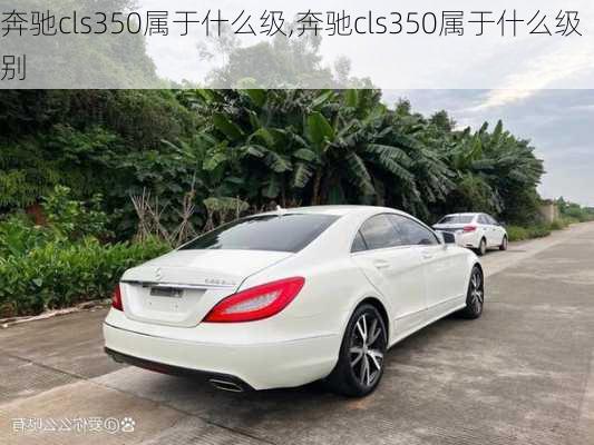 奔驰cls350属于什么级,奔驰cls350属于什么级别