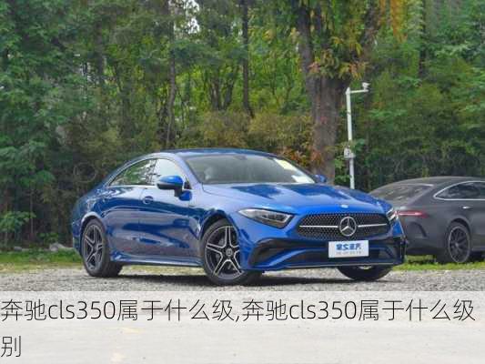 奔驰cls350属于什么级,奔驰cls350属于什么级别