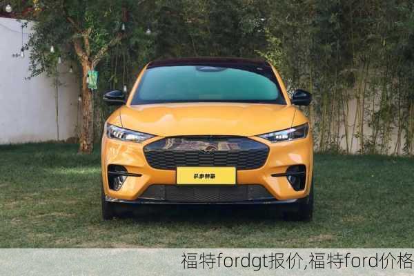 福特fordgt报价,福特ford价格