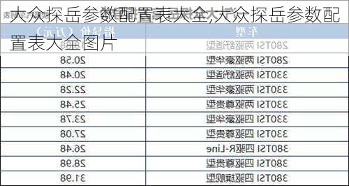 大众探岳参数配置表大全,大众探岳参数配置表大全图片