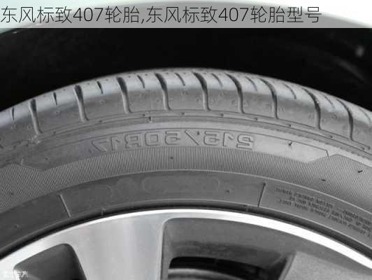 东风标致407轮胎,东风标致407轮胎型号