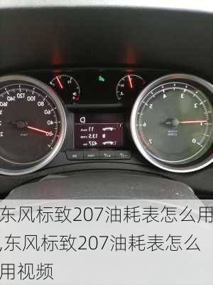 东风标致207油耗表怎么用,东风标致207油耗表怎么用视频