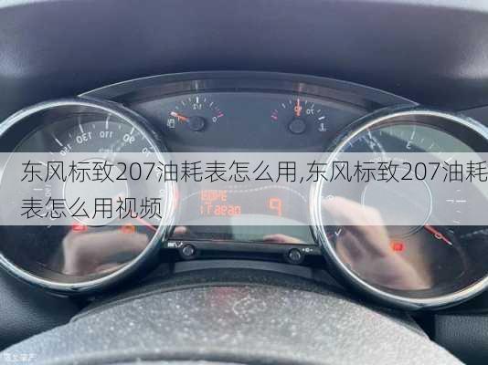 东风标致207油耗表怎么用,东风标致207油耗表怎么用视频