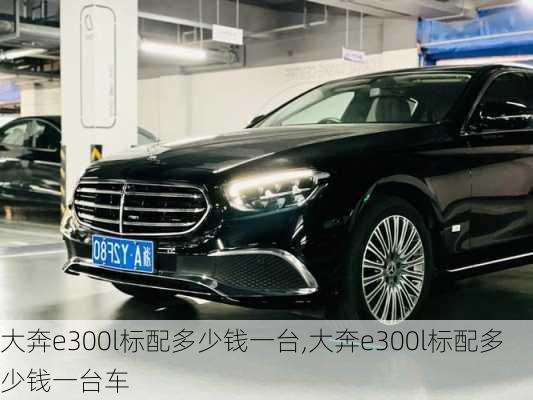 大奔e300l标配多少钱一台,大奔e300l标配多少钱一台车