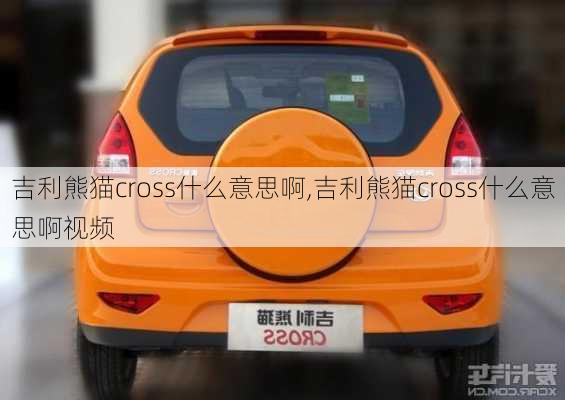 吉利熊猫cross什么意思啊,吉利熊猫cross什么意思啊视频