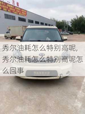 秀尔油耗怎么特别高呢,秀尔油耗怎么特别高呢怎么回事