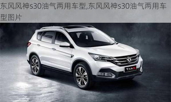 东风风神s30油气两用车型,东风风神s30油气两用车型图片