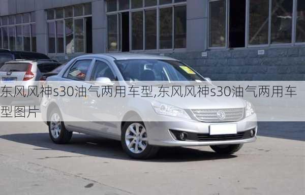 东风风神s30油气两用车型,东风风神s30油气两用车型图片