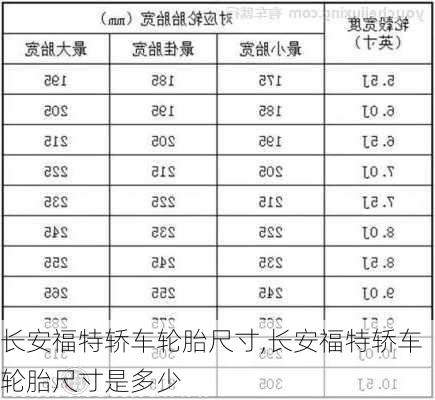 长安福特轿车轮胎尺寸,长安福特轿车轮胎尺寸是多少