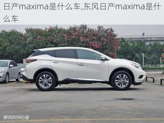 日产maxima是什么车,东风日产maxima是什么车