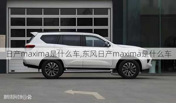 日产maxima是什么车,东风日产maxima是什么车