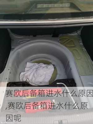 赛欧后备箱进水什么原因,赛欧后备箱进水什么原因呢