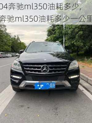 04奔驰ml350油耗多少,奔驰ml350油耗多少一公里