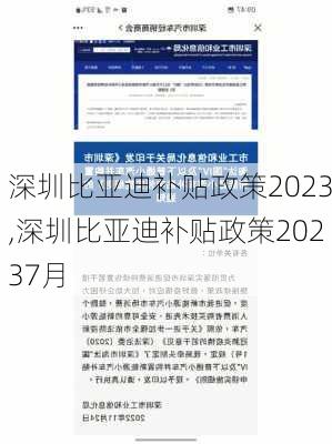 深圳比亚迪补贴政策2023,深圳比亚迪补贴政策20237月