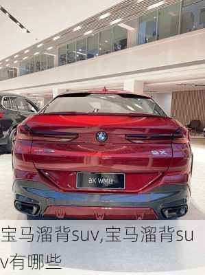 宝马溜背suv,宝马溜背suv有哪些