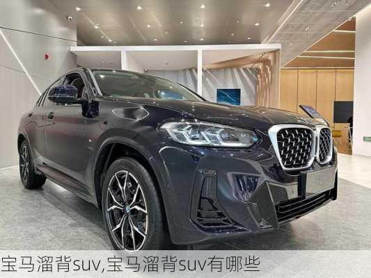 宝马溜背suv,宝马溜背suv有哪些