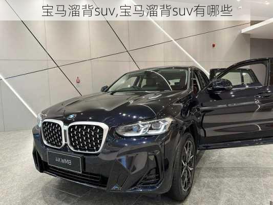 宝马溜背suv,宝马溜背suv有哪些