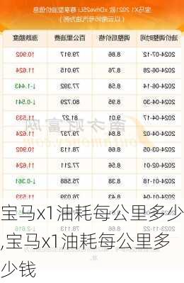 宝马x1油耗每公里多少,宝马x1油耗每公里多少钱