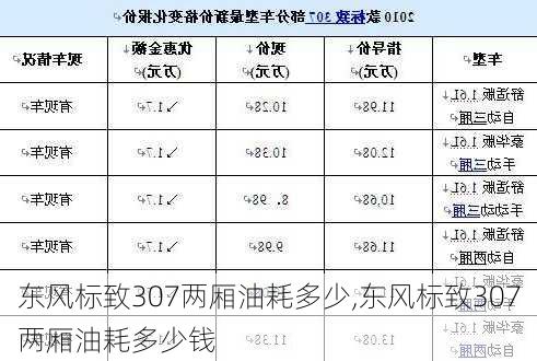 东风标致307两厢油耗多少,东风标致307两厢油耗多少钱