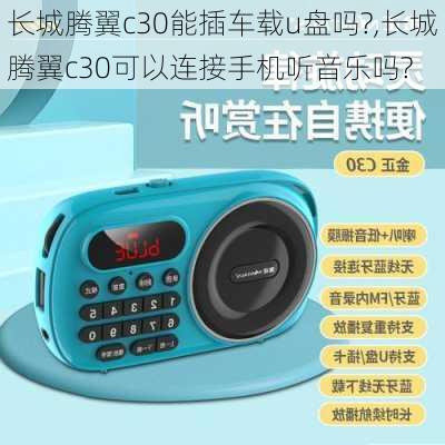 长城腾翼c30能插车载u盘吗?,长城腾翼c30可以连接手机听音乐吗?